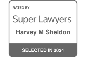 Super Lawyers - 2024